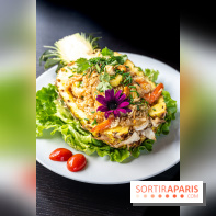 Didi Saigon, le restaurant vietnamien de Villiers sur Marne (94) -  riz sauté