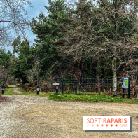 Arbor&Sens, l'Arboretum de Franchard en forêt de Fontainebleau - les photos - IMG 7960