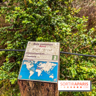 Arbor&Sens, l'Arboretum de Franchard en forêt de Fontainebleau - les photos - IMG 7955