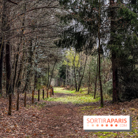 Arbor&Sens, l'Arboretum de Franchard en forêt de Fontainebleau - les photos - IMG 7933
