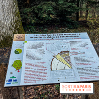 Arbor&Sens, l'Arboretum de Franchard en forêt de Fontainebleau - les photos - IMG 7916