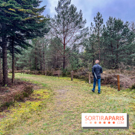 Arbor&Sens, l'Arboretum de Franchard en forêt de Fontainebleau - les photos - IMG 7913