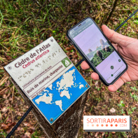 Arbor&Sens, l'Arboretum de Franchard en forêt de Fontainebleau - les photos - IMG 7907