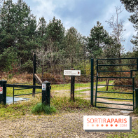 Arbor&Sens, l'Arboretum de Franchard en forêt de Fontainebleau - les photos
