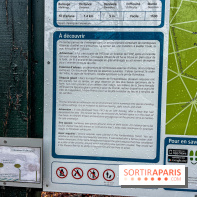 Arbor&Sens, l'Arboretum de Franchard en forêt de Fontainebleau - les photos - IMG 7898