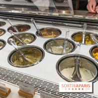 Brigat' Gelato - la glacerie Place des Vosges -  A7C9900