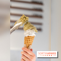 Brigat' Gelato - la glacerie Place des Vosges -  A7C9926