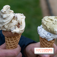 Brigat' Gelato - la glacerie Place des Vosges -  A7C9934