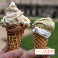 Brigat' Gelato - la glacerie Place des Vosges -  A7C9935