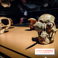 Mexica, des dons et des dieux au Templo Major : l'exposition du musée du Quai Branly se dévoile - IMG20240402105855