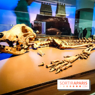 Mexica, des dons et des dieux au Templo Major : l'exposition du musée du Quai Branly se dévoile - IMG20240402105127