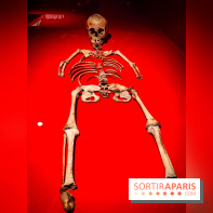 Mexica, des dons et des dieux au Templo Major : l'exposition du musée du Quai Branly se dévoile - IMG20240402104212