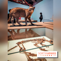 Mexica, des dons et des dieux au Templo Major : l'exposition du musée du Quai Branly se dévoile - IMG20240402105644