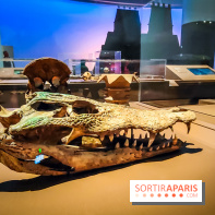 Mexica, des dons et des dieux au Templo Major : l'exposition du musée du Quai Branly se dévoile - IMG20240402105318