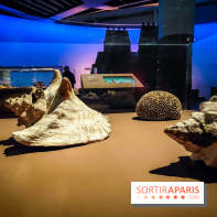 Mexica, des dons et des dieux au Templo Major : l'exposition du musée du Quai Branly se dévoile - IMG20240402105302