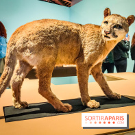 Mexica, des dons et des dieux au Templo Major : l'exposition du musée du Quai Branly se dévoile - IMG20240402105636