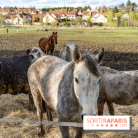 Le Parc du Château de Plaisir (78) - photos -  A7C0033