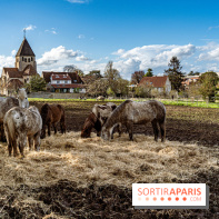 Le Parc du Château de Plaisir (78) - photos -  A7C0031