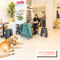 Seven Heaven, le coffee shop dog's friendly et kid's friendly de Paris 11e -  A7C0495
