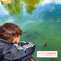 France Miniature 2024  - image00043