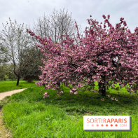 Arboretum de Paris - nos photos