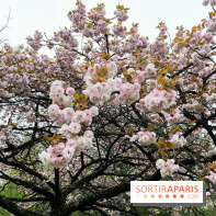 Arboretum de Paris - nos photos