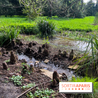 Arboretum de Paris - nos photos - image00031