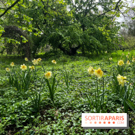 Arboretum de Paris - nos photos