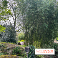 Jardin de l'Ecole du Breuil - nos photos