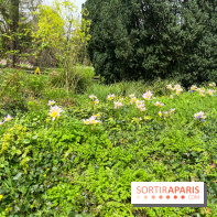 Jardin de l'Ecole du Breuil - nos photos