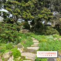 Jardin de l'Ecole du Breuil - nos photos - image00022