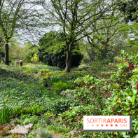 Jardin de l'Ecole du Breuil - nos photos