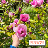 Jardin de l'Ecole du Breuil - nos photos