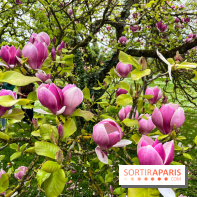 Jardin de l'Ecole du Breuil - nos photos