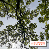 Jardin de l'Ecole du Breuil - nos photos - image00013