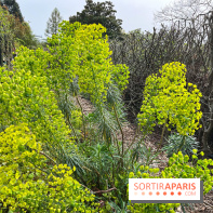 Jardin de l'Ecole du Breuil - nos photos