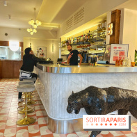 Bonjour Bichat - IMG 0029