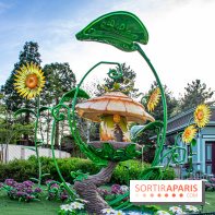 La Symphonie des Couleurs Disney à Disneyland Paris - DSC 9969