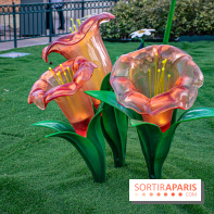 La Symphonie des Couleurs Disney à Disneyland Paris - DSC 9972