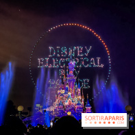 Disney Electrical Sky Parade - IMG 4475