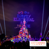 Disney Electrical Sky Parade - IMG 4484