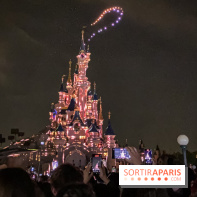 Disney Electrical Sky Parade - IMG 6113 2