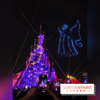 Disney Electrical Sky Parade - IMG 6130