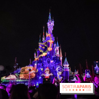 Disney Electrical Sky Parade - IMG 6131