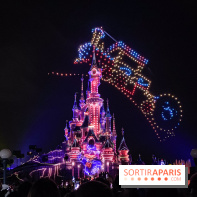 Disney Electrical Sky Parade - IMG 6137