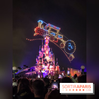 Disney Electrical Sky Parade - IMG 6143