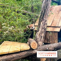 Ménagerie du Jardin des Plantes 2024 - nos photos - image00017