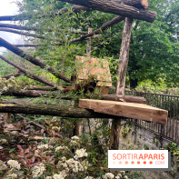 Ménagerie du Jardin des Plantes 2024 - nos photos - image00015