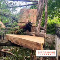 Ménagerie du Jardin des Plantes 2024 - nos photos - image00003