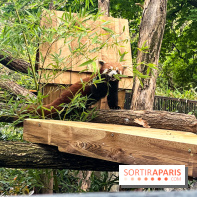 Ménagerie du Jardin des Plantes 2024 - nos photos